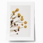 Πόστερ YELLOW DRY FLOWERS