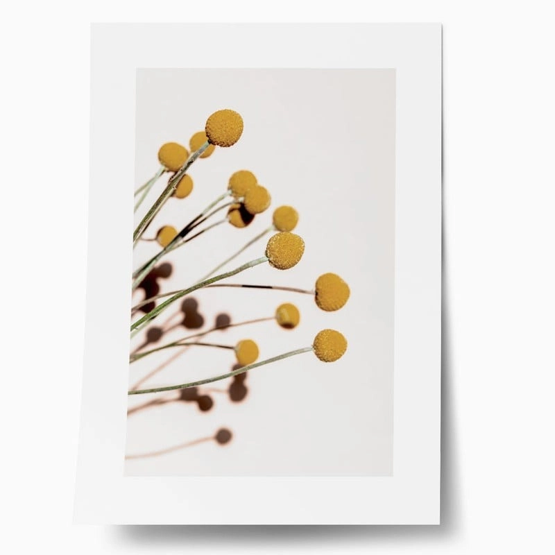 Πόστερ YELLOW DRY FLOWERS