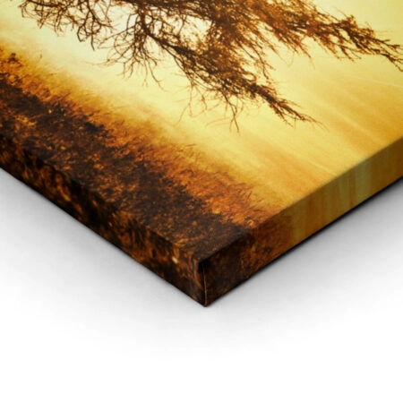 Πίνακας Πανοραμικός AFRICAN TREE - Υπαιθρος Sticky 6