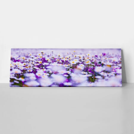 Πίνακας Πανοραμικός CHAMOMILE - Floral - Λουλουδια Sticky 1
