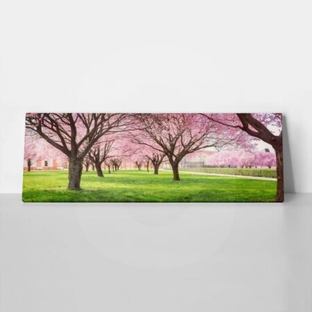 Πίνακας Πανοραμικός σε καμβά CHERRY BLOSSOM TREES ALLEY IN GARDEN - Ανθη Δεντρων Sticky 1