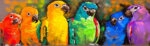 Πίνακας Πανοραμικός COLORFUL PARROTS