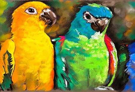 Πίνακας Πανοραμικός COLORFUL PARROTS - Πουλια Sticky 5