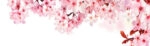 Πίνακας Πανοραμικός σε καμβά DREAMY CHERRY BLOSSOMS