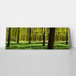 Πίνακας σε καμβά Πανοραμικός FOREST