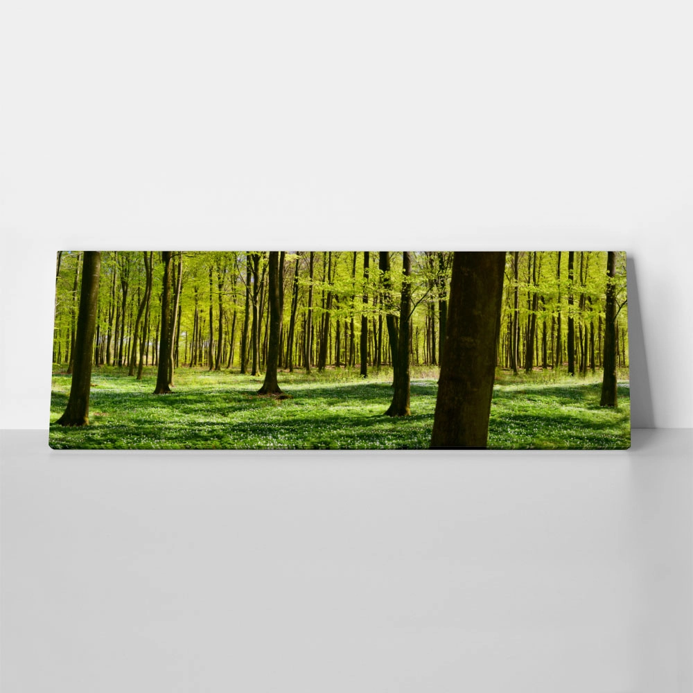 Πίνακας σε καμβά Πανοραμικός FOREST