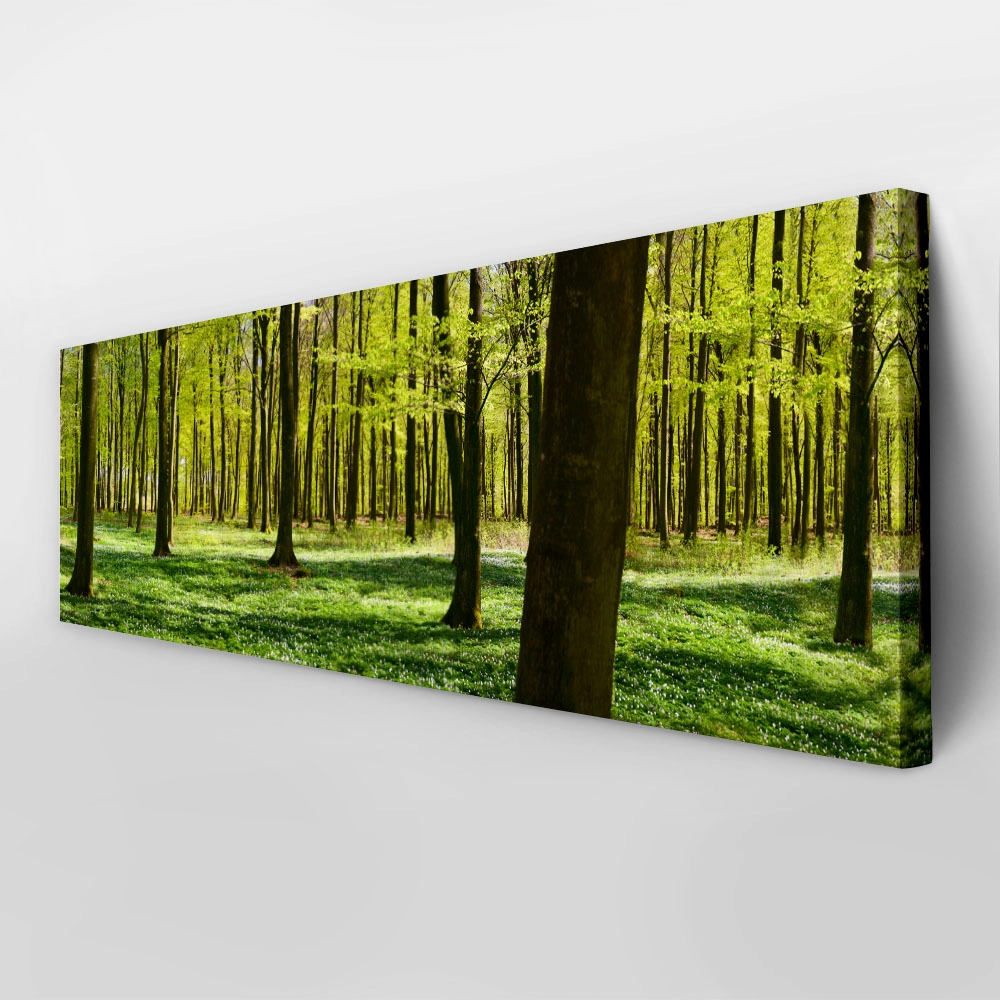 Πίνακας σε καμβά Πανοραμικός FOREST