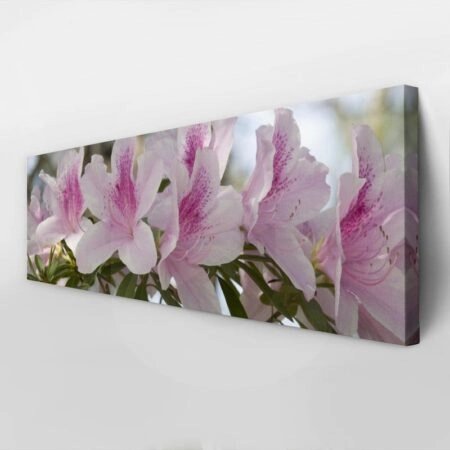 Πίνακας Πανοραμικός σε καμβά GROUP OF PINK AZALEAS - Floral - Λουλουδια Sticky 3