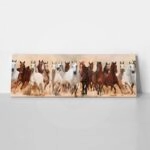 Πίνακας σε καμβά Πανοραμικός HORSES