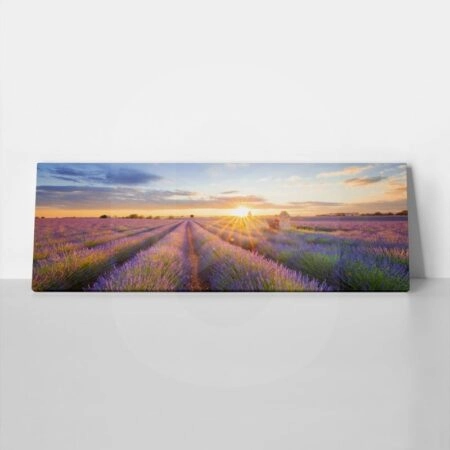 Πίνακας Πανοραμικός σε καμβά LAVENDER FIELD IN VALENSOLE - Λεβαντα Sticky 1