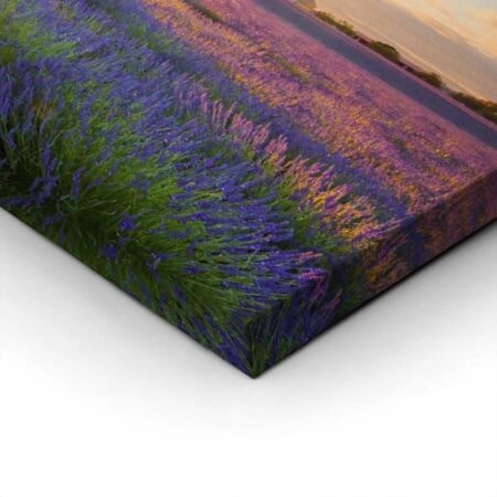 Πίνακας Πανοραμικός σε καμβά LAVENDER FIELD IN VALENSOLE - Λεβαντα Sticky 2