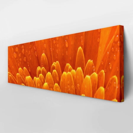 Πίνακας Πανοραμικός ORANGE DAISY - Μαργαριτες Sticky 3