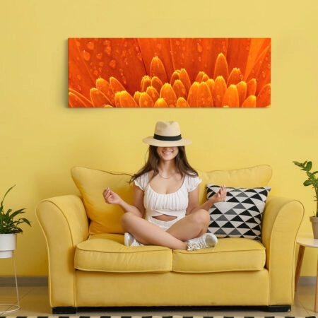 Πίνακας Πανοραμικός ORANGE DAISY - Μαργαριτες