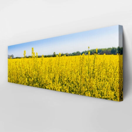 Πίνακας Πανοραμικός σε καμβά RAPESEED FLOWERS IN SPRINGTIME - Υπαιθρος Sticky 6