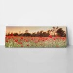 Πίνακας Πανοραμικός σε καμβά RED POPPY FIELD