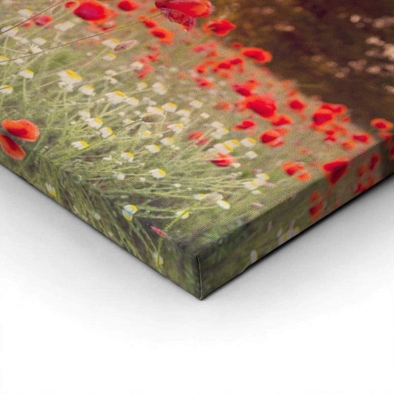 Πίνακας Πανοραμικός σε καμβά RED POPPY FIELD