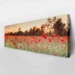 Πίνακας Πανοραμικός σε καμβά RED POPPY FIELD