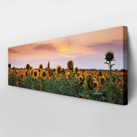 Πίνακας Πανοραμικός SUNFLOWERS SUNSET - Ηλιανθοι Sticky 2