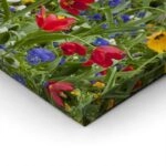 Πίνακας Πανοραμικός σε καμβά TULIP FIESTA