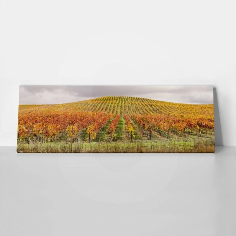 Πίνακας Πανοραμικός σε καμβά VINEYARD IN AUTUMN