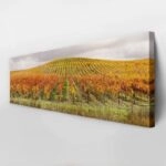Πίνακας Πανοραμικός σε καμβά VINEYARD IN AUTUMN