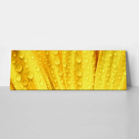 Πίνακας Πανοραμικός YELLOW DAISY - Μαργαριτες Sticky 1