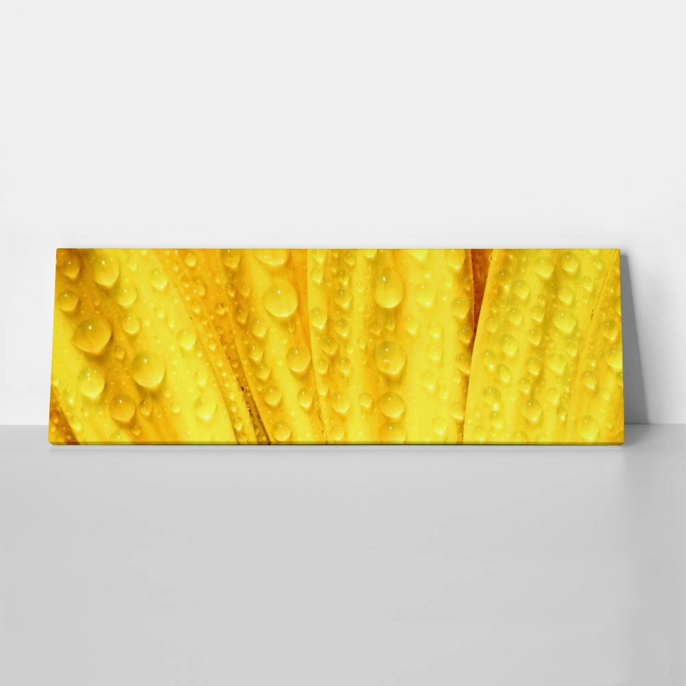 Πίνακας Πανοραμικός YELLOW DAISY