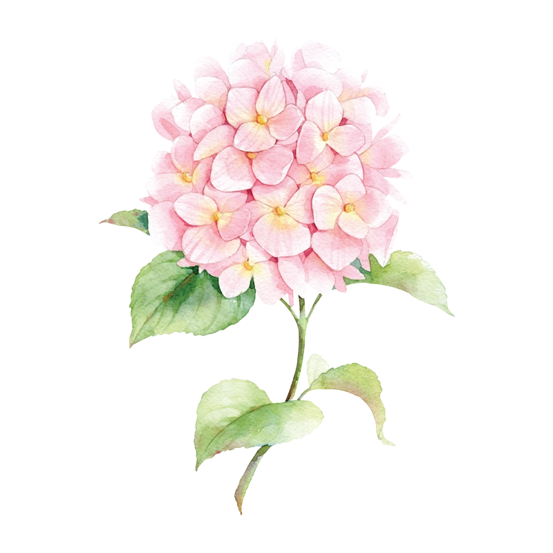 crop image