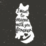Πίνακας σε καμβά CAT FOREVER