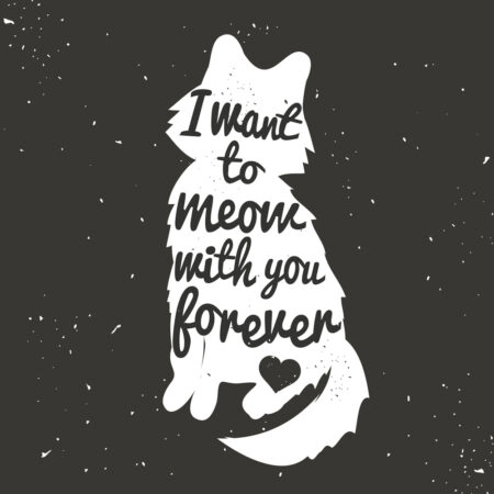 Πίνακας σε καμβά CAT FOREVER - Γατες Sticky 4