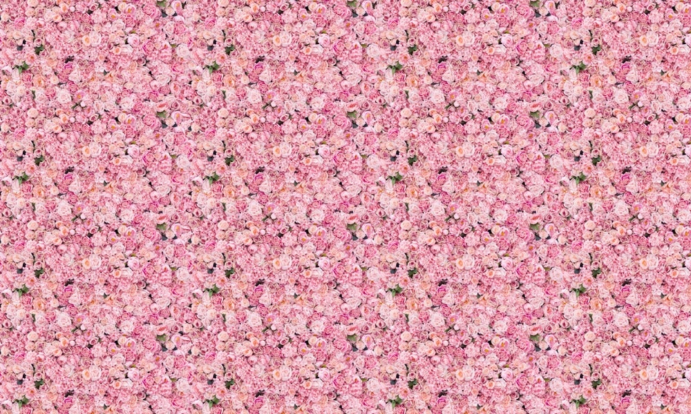 crop image