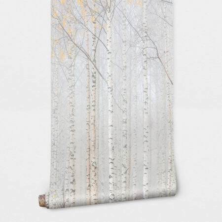 Αυτοκόλλητη Ταπετσαρία τοίχου BIRCH FOREST - Τοπία Sticky 2