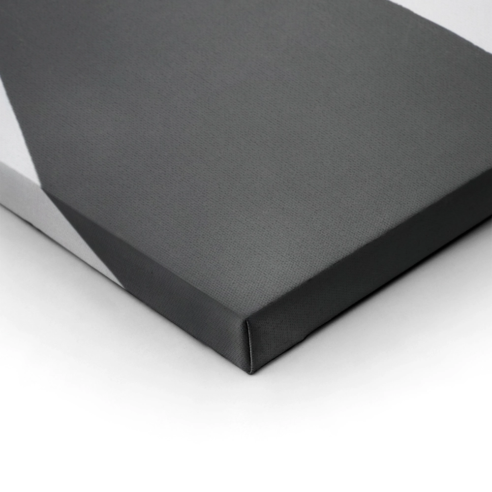 Πινακας σε καμβά BLACK AND WHITE STEPS
