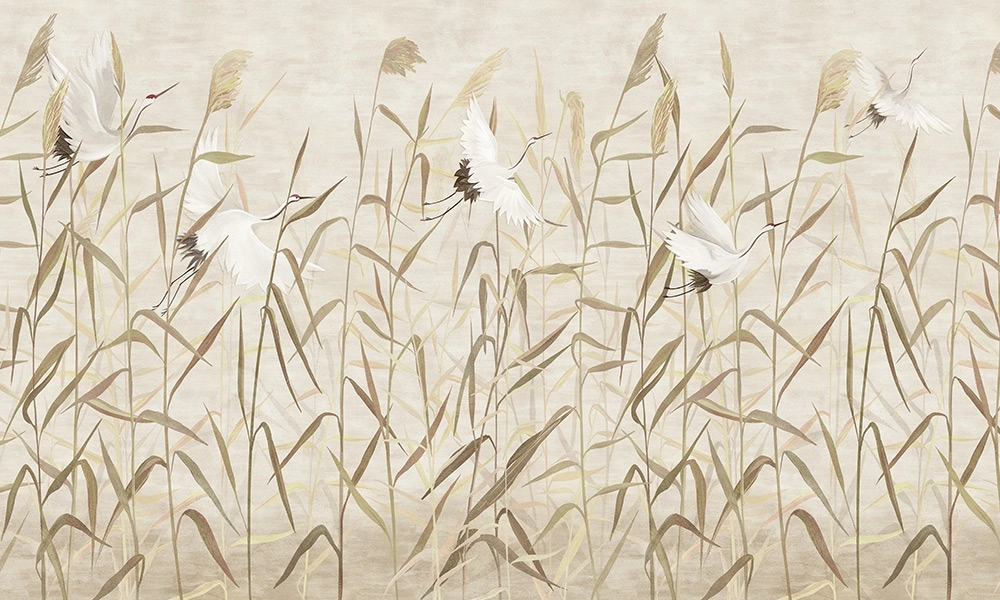 crop image
