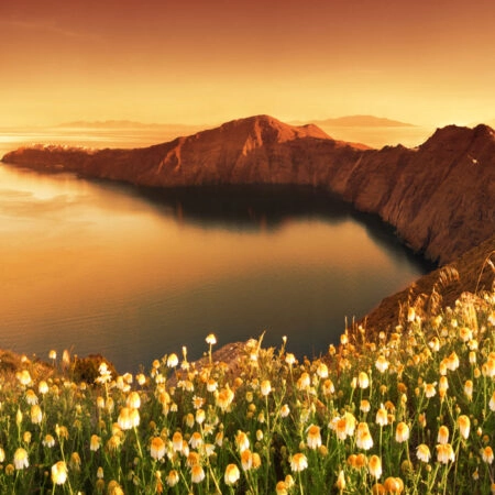 Πινακας σε καμβά SANTORINI WILDFLOWERS - Νησια Sticky 4