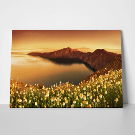 Πινακας σε καμβά SANTORINI WILDFLOWERS - Νησια