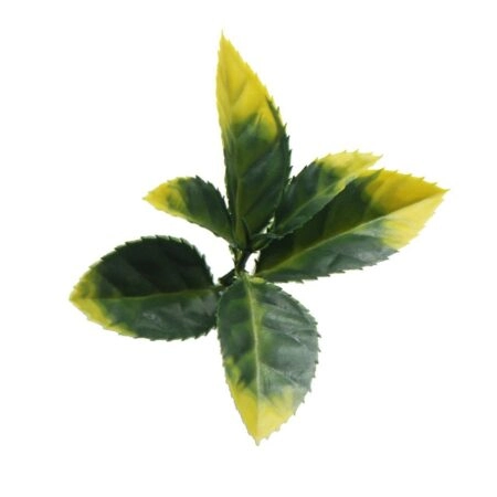 ΠΑΝΕΛ ΦΥΛΛΩΣΙΑΣ BERLIN 50 Χ 50 A017 PHOTINIA - Κάθετοι κήποι Sticky 1