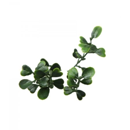 ΠΑΝΕΛ ΦΥΛΛΩΣΙΑΣ BERLIN 50 Χ 50 A146 BOXWOOD - Κάθετοι κήποι Sticky 1