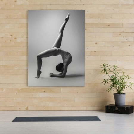 Πινακας σε καμβά BLACK AND WHITE STRETCHING - Αθληματα και Χομπυ