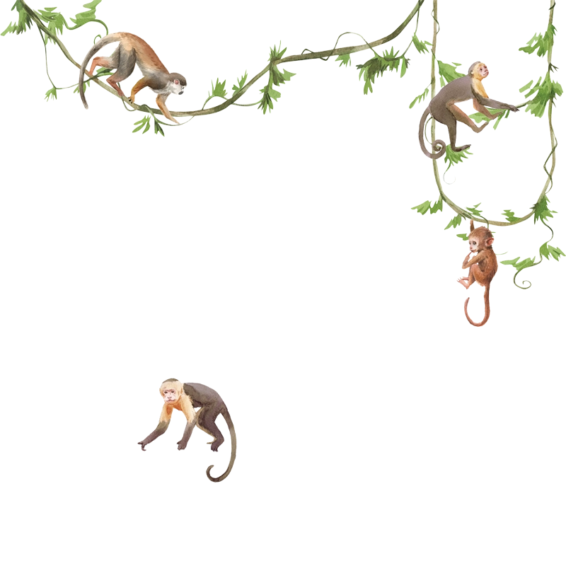 crop image