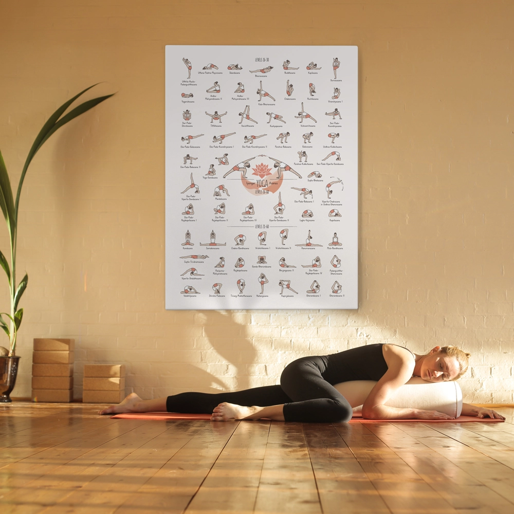 Πινακας σε καμβά YOGA POSES LEVEL 3