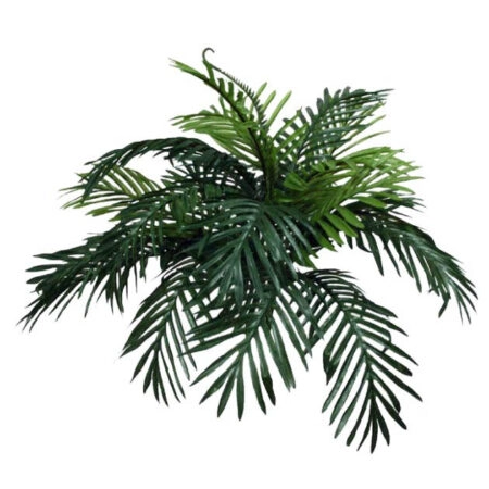 ΡΙΖΑ ΤΣΙΚΑ 70xY45cm. - Πρασινάδες - Κρεμαστά φυτά