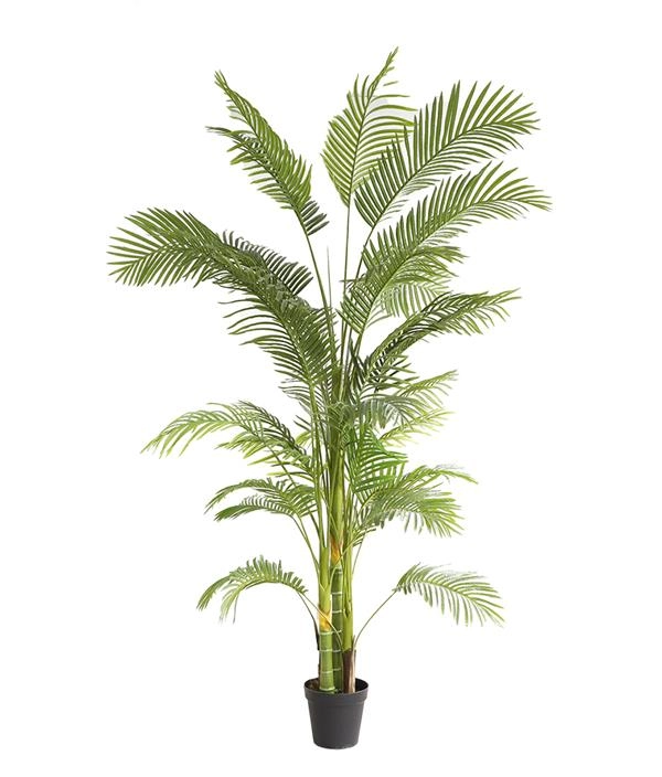 ΤΕΧΝΗΤΟ ΔΕΝΤΡΟ ΦΟΙΝΙΚΑΣ ΥΨΟΣ 240cm