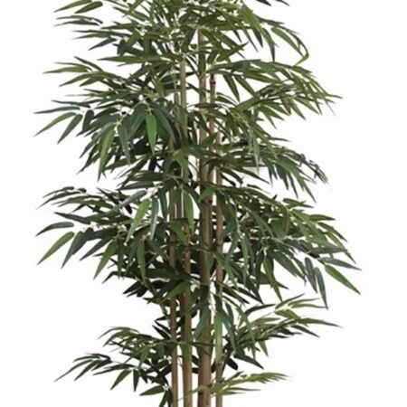 BAMBOO  NP828_210_UV  ΥΨΟΣ 210cm - 