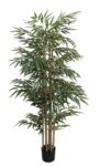 BAMBOO NP828_210_UV ΥΨΟΣ 210cm