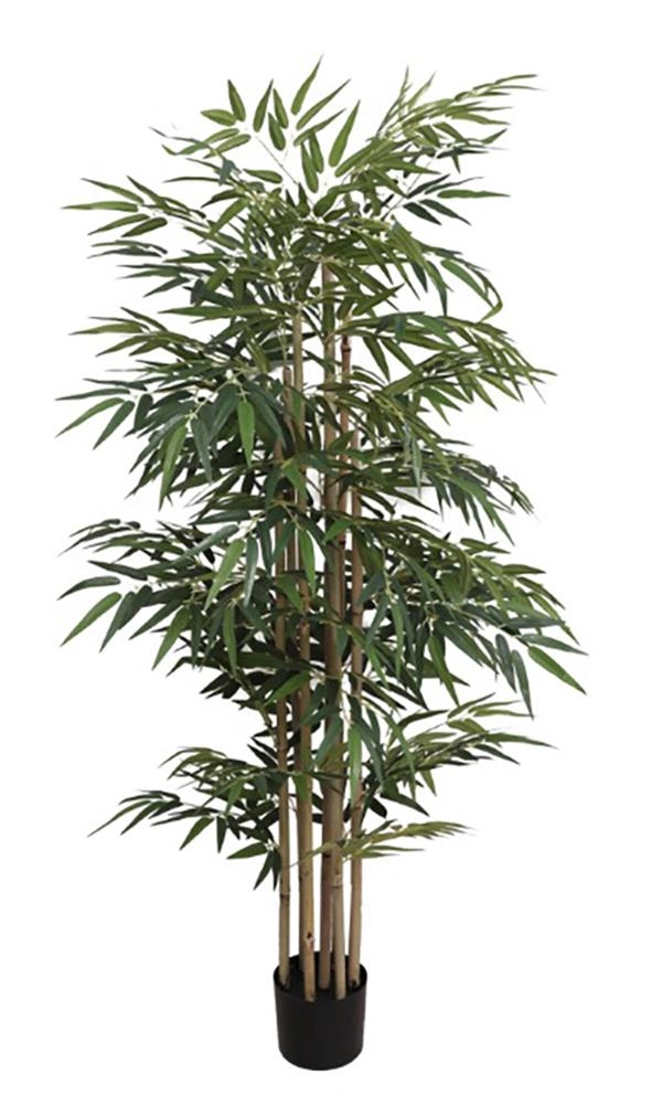 BAMBOO NP828_210_UV ΥΨΟΣ 210cm