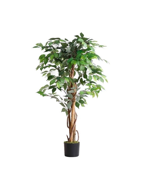 ΤΕΧΝΗΤΟ ΔΕΝΤΡΟ FICUS TREE YΨΟΣ 120cm