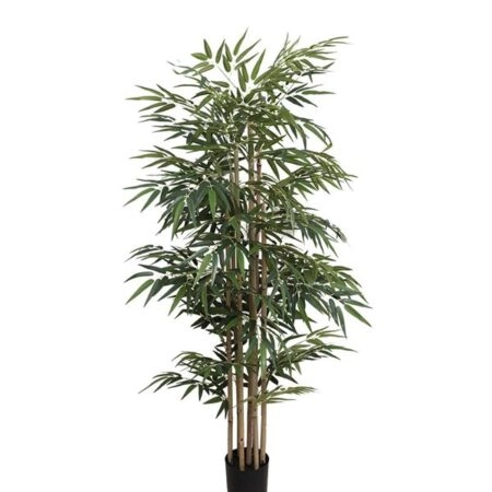 BAMBOO  NP824_153  ΥΨΟΣ 153cm - 