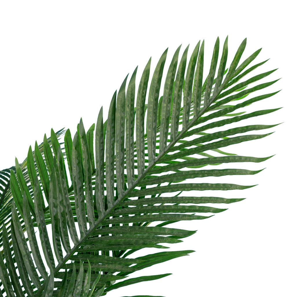 ARECA PALM TREE 20013 - Artificial Decorative Plant Areca Palm Tree H210cm