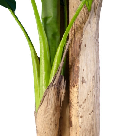 BANANA TREE 20018 - Τεχνητό Διακοσμητικό Φυτό Μπανανιά - Μπανανόδεντρο Υ240cm - Τεχνητες Μπανανιες Sticky 2